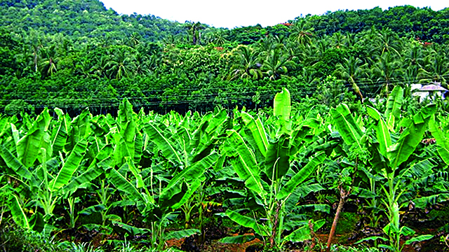 FarmSide Technologies